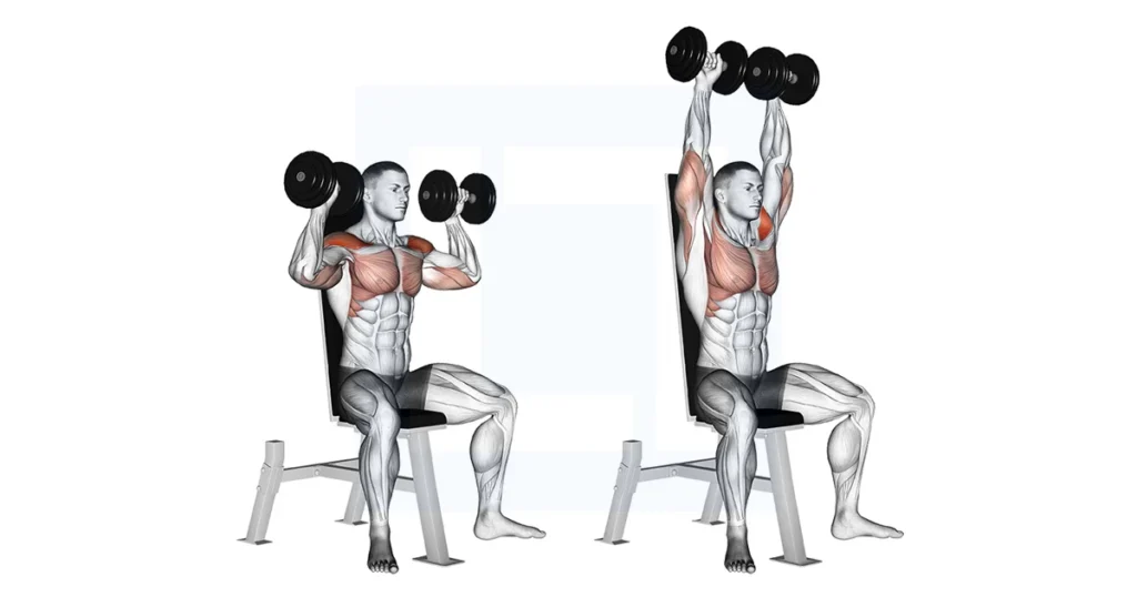 dumbbell-seated-shoulder-press