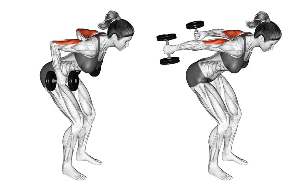 kol-kasi-gelistirme-hareketleri Bent Over Dumbbell